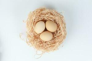 des œufs dans une nid panier sur blanc Contexte photo