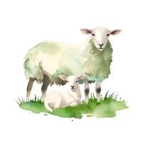 génératif ai contenu, mignonne peu agneau et mouton sur blanc Contexte aquarelle illustration photo