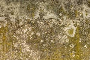 Des roches de grès avec de la mousse et des lichens envahis comme arrière-plan photo