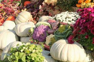 citrouilles et l'automne des légumes sur une équitable. récolte temps sur une cultiver. tomber Festival de Frais biologique des légumes. de fête décor dans jardin. agriculture marché. rural scène. végétarien et végétalien nourriture journée. photo