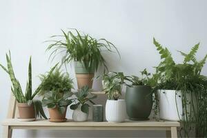 vert plantes d'intérieur dans des pots et arrosage pouvez sur en bois table près blanc mur , produire ai photo