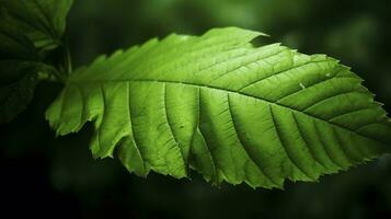 environnement Terre journée dans Naturel vert feuilles et les plantes utilisé comme printemps Contexte couverture page verdure environnement écologie fond d'écran, concept éco Terre journée. économie le environnement, produire ai photo