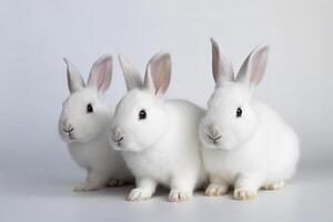 de face vue de mignonne bébé lapins sur blanc arrière-plan, peu mignonne lapins séance avec charmant action sur blanc, génératif ai photo