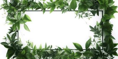 vert plante et feuilles Cadre isolé sur blanc arrière-plan, pour mariage invitations et salutation cartes, produire ai photo