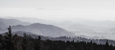 photographie aérienne de la montagne d'observation de la forêt photo