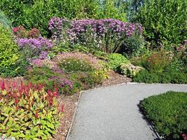 Chemin à travers les bordures de fleurs mixtes dans un jardin photo