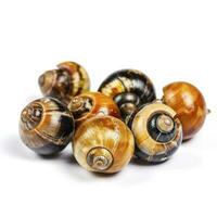 mystère escargots isolé sur blanc arrière-plan, produire ai photo