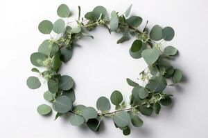 couronne fabriqué de eucalyptus branches. vert floral Cadre fabriqué de eucalyptus feuilles. décoratif couronne isolé sur blanche. minimal Naturel composition, botanique conception, plat poser, Haut voir. ai généré photo