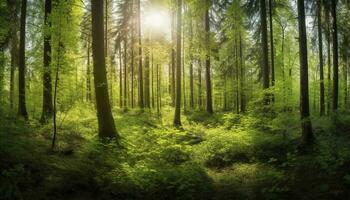 magnifique des rayons de lumière du soleil dans une vert forêt, produire ai photo