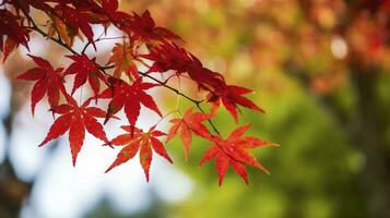 magnifique l'automne paysage avec. coloré feuillage dans le parc. chute feuilles Naturel arrière-plan, produire ai photo