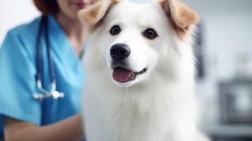 chien sur visite à le vétérinaire. illustration ai génératif photo