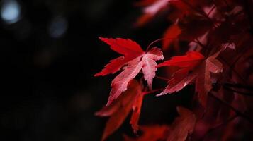 l'automne rouge feuilles Contexte. illustration ai génératif photo