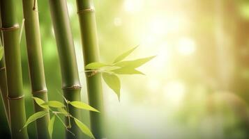 Naturel Contexte avec bambou. illustration ai génératif photo