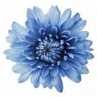bleu fleur isolé sur blanc arrière-plan, png avec transparence , produire ai photo