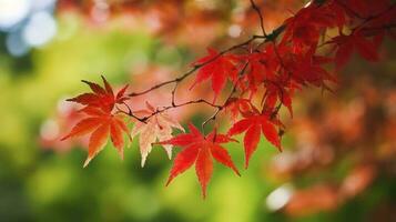 magnifique l'automne paysage avec. coloré feuillage dans le parc. chute feuilles Naturel arrière-plan, produire ai photo