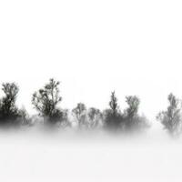 brouillard isolé sur blanc arrière-plan, produire ai photo