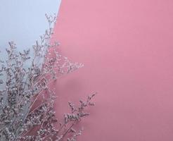 Fleur pourpre touffue sèche à plat poser sur fond rose et blanc pastel photo