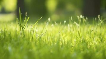 Frais vert jardin herbe pelouse dans printemps, été avec brillant bokeh de flou feuillage de printemps dans le arrière-plan, produire ai photo