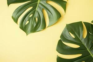 magnifique tropical paume monstera feuilles branche isolé sur pastel Jaune arrière-plan, Haut voir, plat poser, aérien au dessus été beauté Vide conception concept , produire ai photo