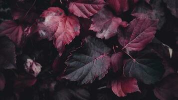 artistique coloré chêne l'automne saison feuilles arrière-plan, produire ai photo