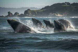 une groupe de à bosse baleines violer, produire ai photo