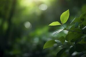 la nature de vert feuille dans jardin à été. Naturel vert feuilles les plantes en utilisant comme printemps Contexte couverture page verdure environnement écologie fond d'écran, produire ai photo