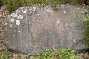Des roches de grès avec de la mousse et des lichens envahis comme arrière-plan photo