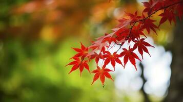 magnifique l'automne paysage avec. coloré feuillage dans le parc. chute feuilles Naturel arrière-plan, produire ai photo