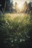 une proche en haut de herbe avec rosée gouttes sur il et une floue Contexte de le herbe et le Soleil brillant par le gouttes de le herbe sur le herbe est une ensoleillé journée lumière. génératif ai photo