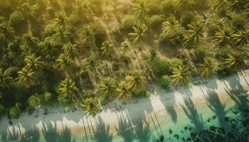 magnifique Caraïbes plage sur saona île dominicain république aérien vue de tropical idyllique été paysage avec vert, produire ai photo