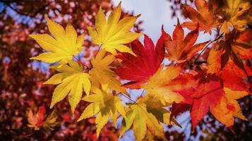 magnifique l'automne paysage avec. coloré feuillage dans le parc. chute feuilles Naturel arrière-plan, produire ai photo