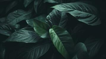 abstrait foncé vert surface de feuilles Naturel floral arrière-plan, produire ai photo