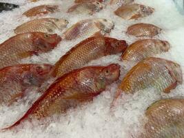 Frais poisson sur la glace dans le marché photo