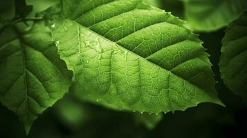 environnement Terre journée dans Naturel vert feuilles et les plantes utilisé comme printemps Contexte couverture page verdure environnement écologie fond d'écran, concept éco Terre journée. économie le environnement, produire ai photo