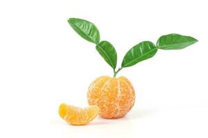 Frais des oranges de tropical zone ,doux fruit photo