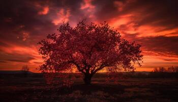 vibrant couleurs dans la nature tranquille crépuscule beauté généré par ai photo