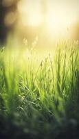 une proche en haut de herbe avec rosée gouttes sur il et une floue Contexte de le herbe et le Soleil brillant par le gouttes de le herbe sur le herbe est une ensoleillé journée lumière. génératif ai photo