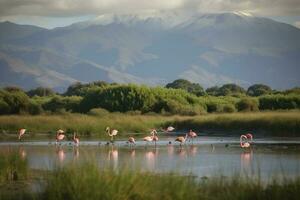 une groupe de flamants roses patauger par une luxuriant zone humide avec montagnes dans le arrière-plan, produire ai photo