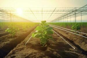 agricole les technologies pour croissance les plantes et scientifique recherche dans le champ de la biologie et chimie de la nature. vivant vert germer dans le mains de une agriculteur, produire ai photo