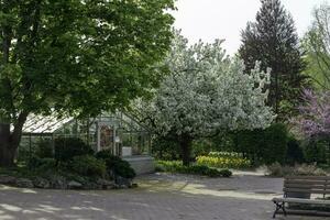 épanouissement des arbres et fleurs dans Edouard botanique jardin dans Toronto. photo