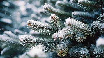 fermer de Noël pin arbre avec neige, illustration ai génératif photo