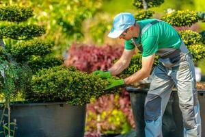 jardin boutique emploi photo