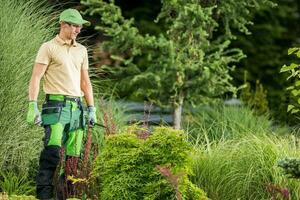 jardinier fièrement à la recherche à fini taille travail photo