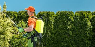 fongicide et insecticide jardin exécuté par professionnel jardinier photo