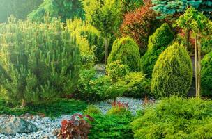 plein de les plantes Accueil jardin photo