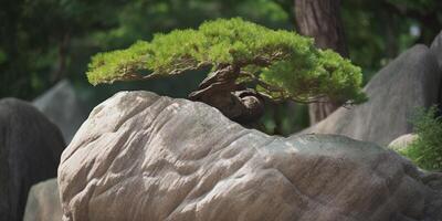 Zen Roche avec une arbre sur il ai généré photo