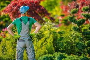 satisfait jardinier dans le jardin photo