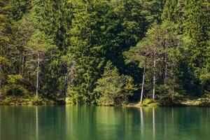 bavarois scénique Lac et forêt ligne Allemagne photo