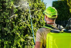 professionnel insecticide un service photo