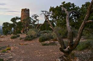 observation la tour Arizona photo